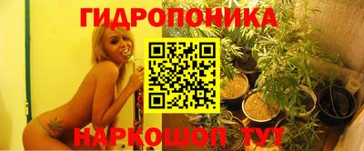 бошки Абинск