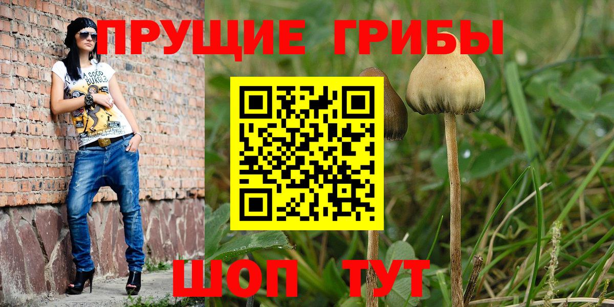 Галлюциногенные грибы Psilocybe  Псилоцибиновые грибы мицелий  Вход с VPN  Алушта 