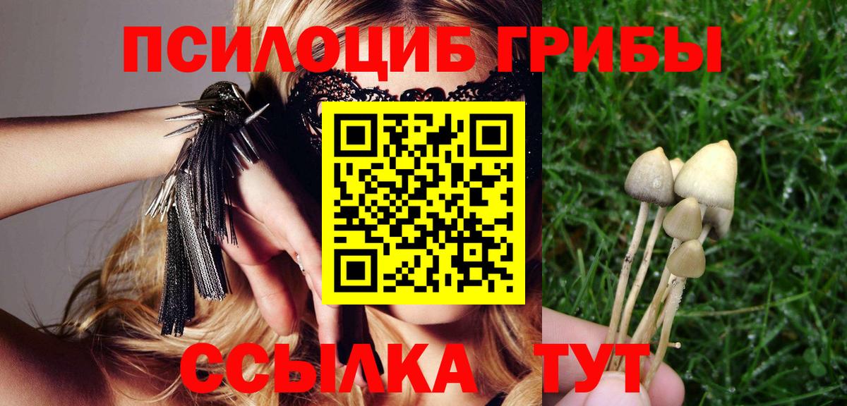 Галлюциногенные грибы прущие грибы Алушта
